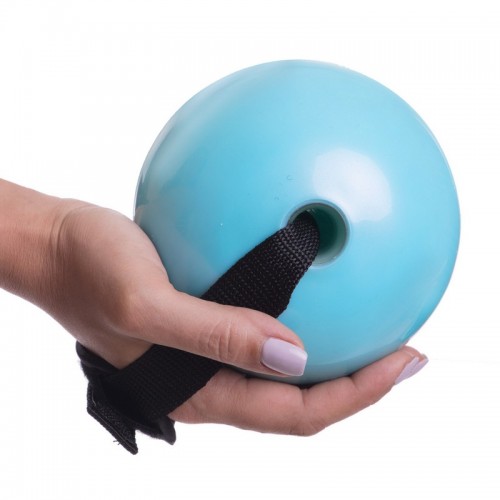 Мяч утяжеленный с манжетом PRO-SUPRA WEIGHTED EXERCISE BALL 030-1LB 11см голубой