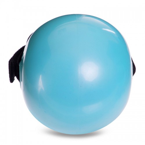 М'яч обтяжений із манжетом PRO-SUPRA WEIGHTED EXERCISE BALL 030-1LB 11см блакитний
