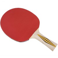 Ракетка для настольного тенниса DONIC LEVEL 300 MT-705031 TOP TEAM цвета в ассортименте