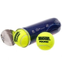 Мяч для большого тенниса TELOON POUND 3шт WZT828003 салатовый