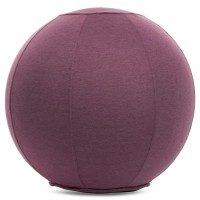М'яч для фітнесу фітбол із чохлом FHAVK FI-1466 65см кольору в асортименті