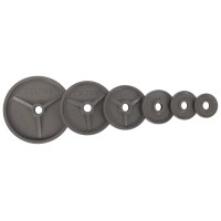 Млинці (диски) сталеві d-52мм Zelart TA-7792-20 20кг сірий
