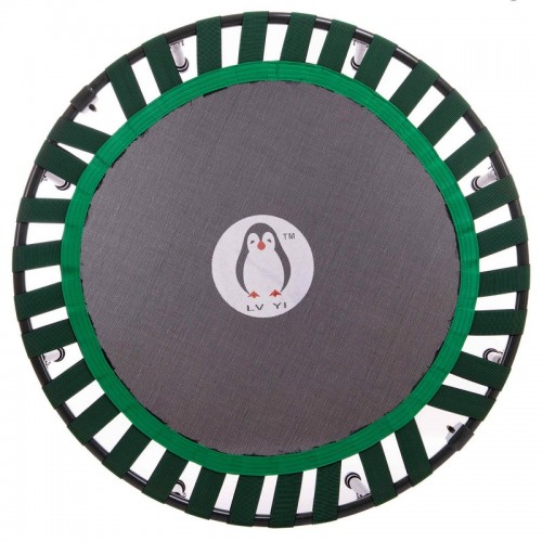 Фітнес батут круглий FI-2906 102см чорний зелений