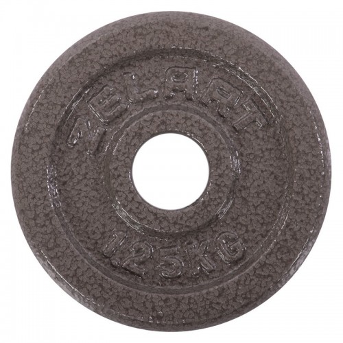 Млинці (диски) сталеві d-30мм Zelart TA-7789-1_25 1,25кг сірий