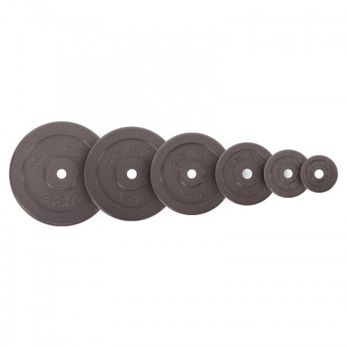 Млинці (диски) сталеві d-30мм Zelart TA-7789-1_25 1,25кг сірий