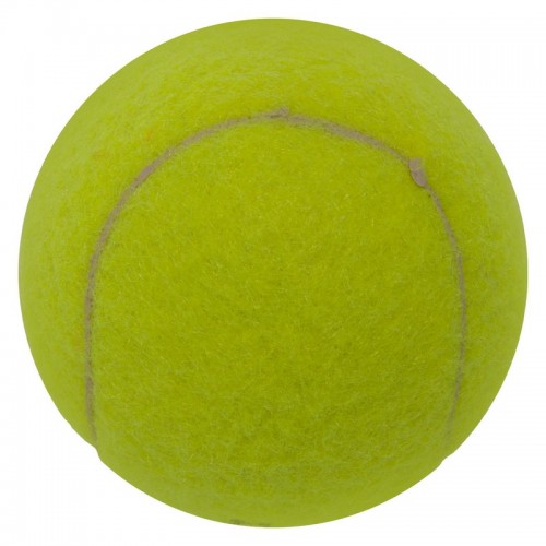 Мяч для большого тенниса WELKIN 909 12шт