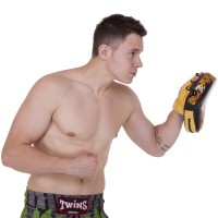 Лапа Изогнутая для бокса и единоборств TWINS FPML10-51 1шт цвета в ассортименте